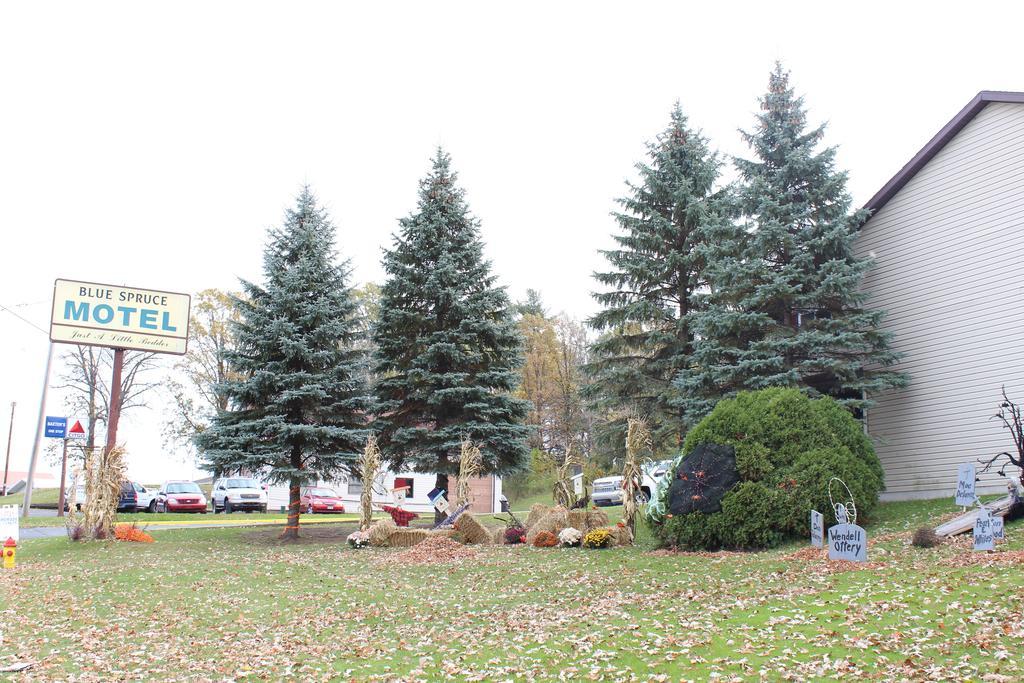 Blue Spruce Motel
