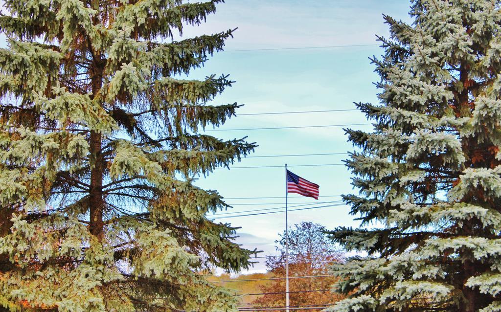 Motel Blue Spruce