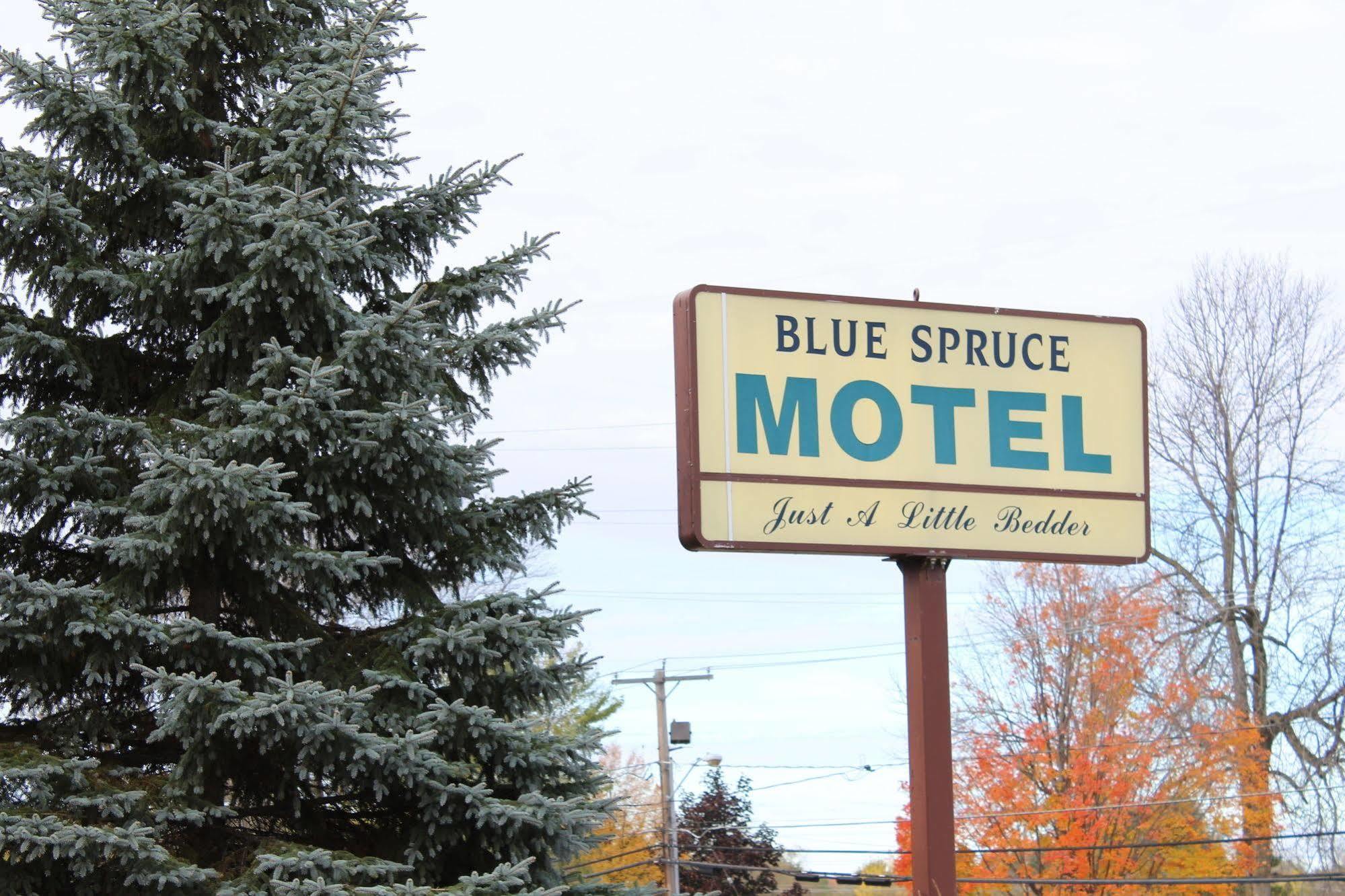 Blue Spruce 2* Massena
