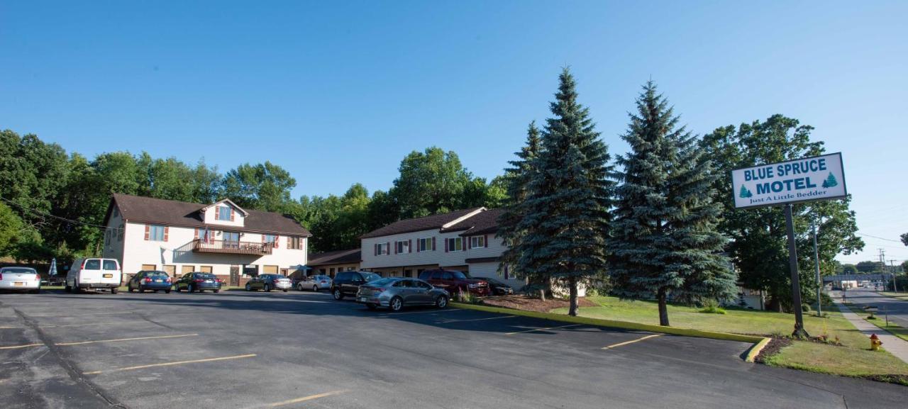 Motel Blue Spruce 2*